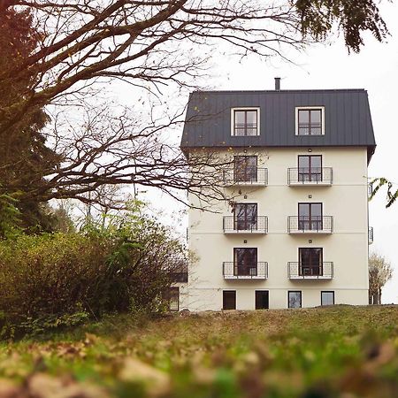 Spa Hotel Garni Loewenstein Konstantinovy Lazne Exterior photo